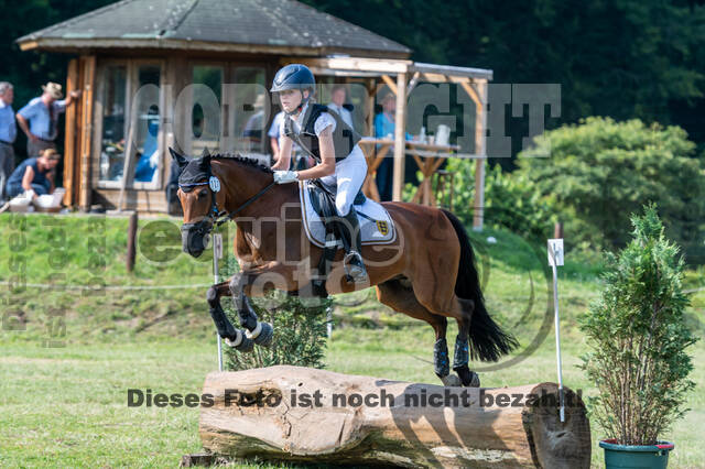 Goldene Schärpe 2021 - Ponys