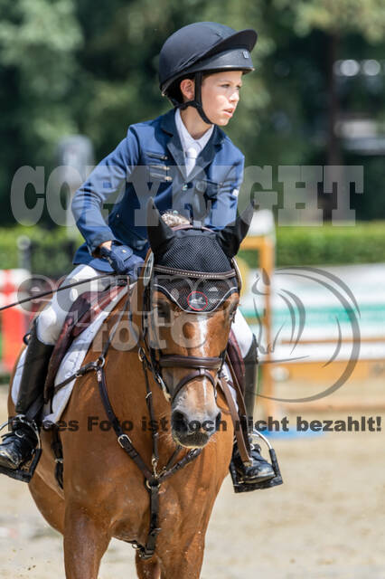 Goldene Schärpe 2021 - Ponys