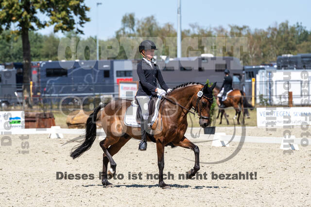 Kronenberg - De Peelbergen (August 2020)