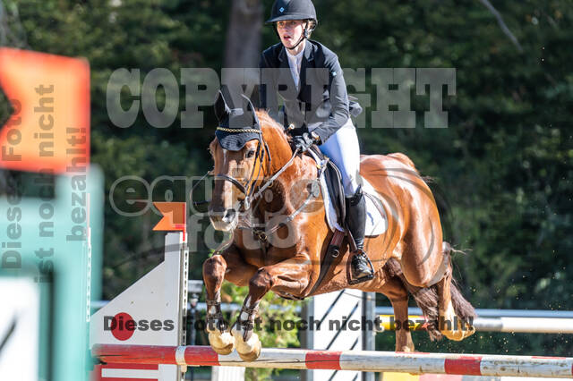 RFV Dinslaken-Hiesfeld (Herbstturnier)