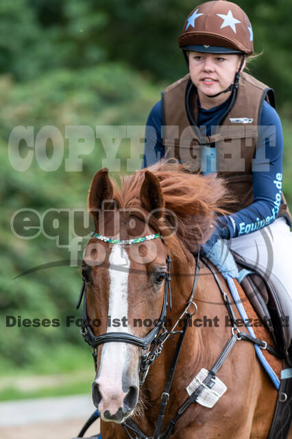 Late-Entry-Vielseitigkeit Langenfeld (06.+07.07.2020)