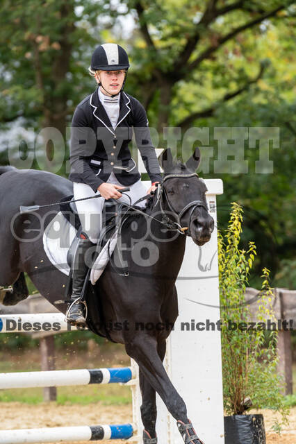 Vielseitigkeit RSV Wesel Obrighoven (26.+27.09.2020)