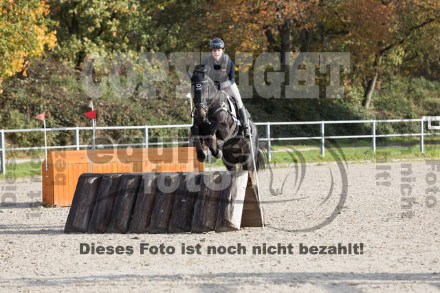 IGV Lehrgang der Sieger der Cups mit Frank Ostholt
