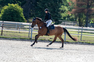Late-Entry-Vielseitigkeit Langenfeld (11.+13./14.06.2020)