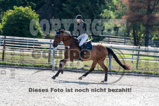 Late-Entry-Vielseitigkeit Langenfeld (11.+13./14.06.2020)