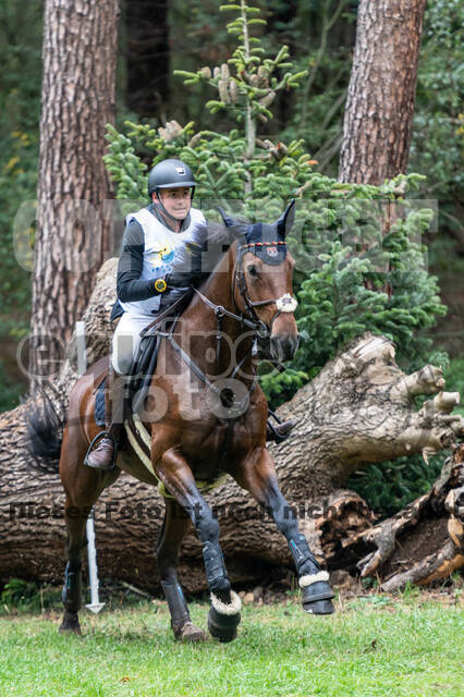 Vielseitigkeit RSV Wesel Obrighoven (26.+27.09.2020)