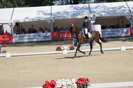 FEI European Championship Eventing 2017