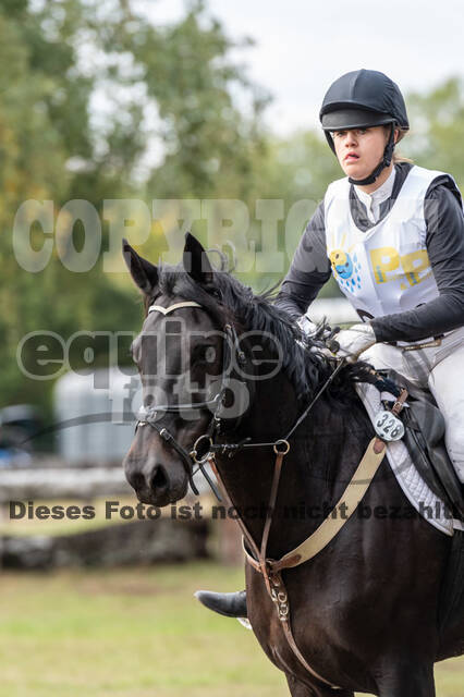 Vielseitigkeit RSV Wesel Obrighoven (26.+27.09.2020)