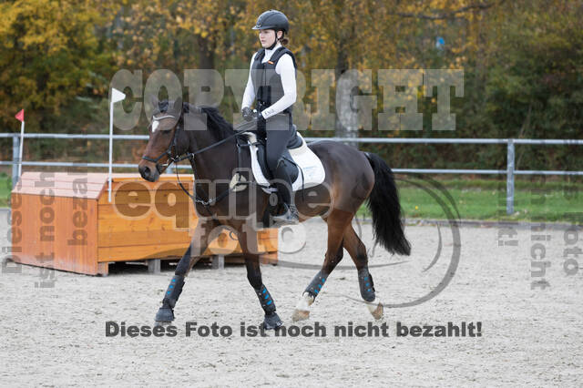 IGV Lehrgang der Sieger der Cups mit Frank Ostholt
