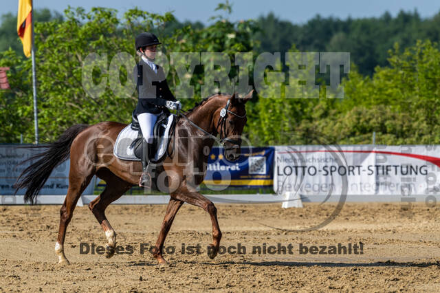 Westerstede Horse Trials 2021