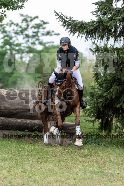 Late-Entry-Vielseitigkeit Langenfeld (11.+13./14.06.2020)