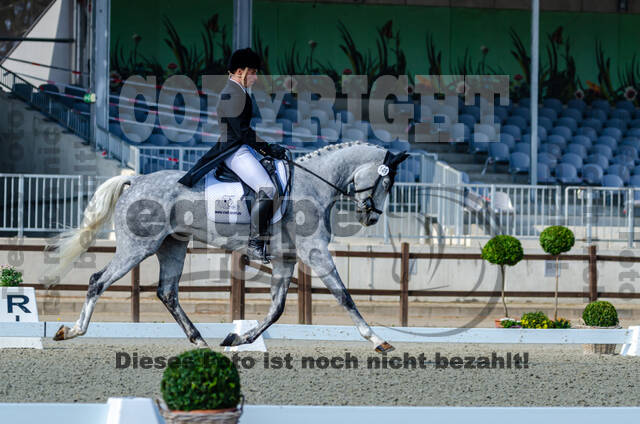Deutsche Meisterschaft Vielseitigkeit (Luhmühlen)