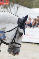 FEI European Championship Eventing 2019