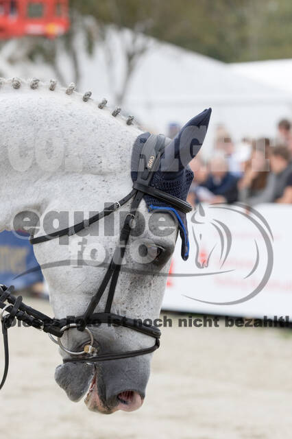 FEI European Championship Eventing 2019