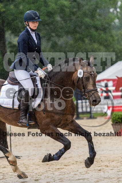Goldene Schärpe 2021 - Ponys