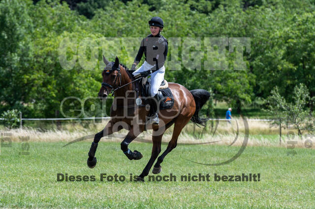 Bonn-Rodderberg Late-Entry-Vielseitigkeit (30.06.2020)