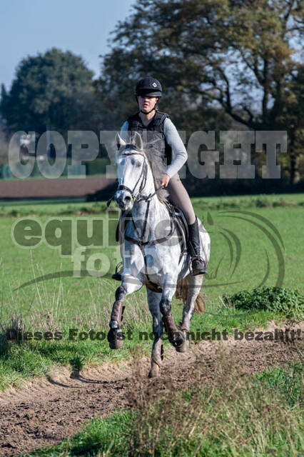 Vielseitigkeitslehrgang mit Jürg Kurbel (9.+10.11.2019)