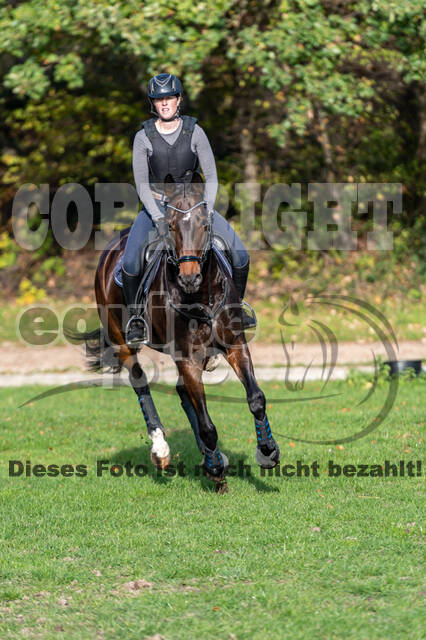 IGV Lehrgang der Sieger der Cups mit Frank Ostholt
