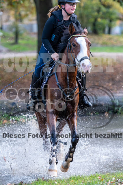IGV Lehrgang der Sieger der Cups mit Frank Ostholt