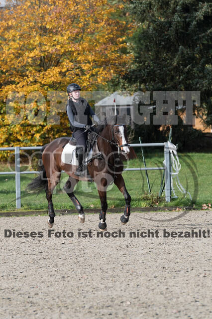 IGV Lehrgang der Sieger der Cups mit Frank Ostholt
