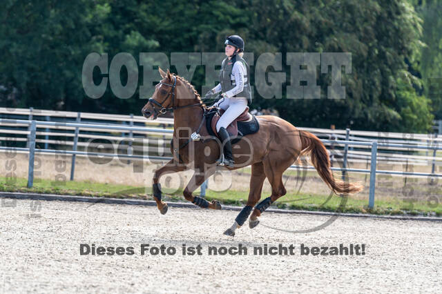 Late-Entry-Vielseitigkeit Langenfeld (11.+13./14.06.2020)