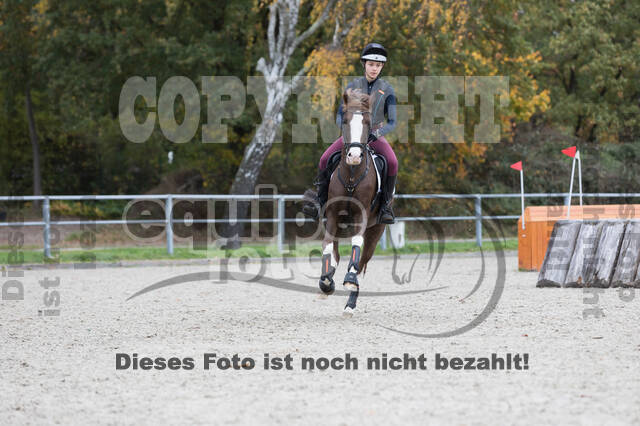 IGV Lehrgang der Sieger der Cups mit Frank Ostholt