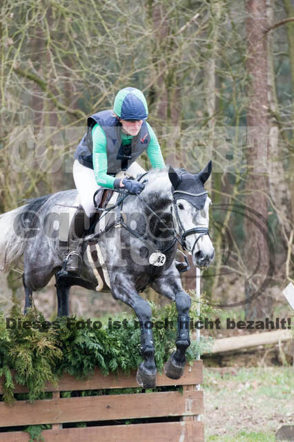 Jungpferdetag Hamminkeln