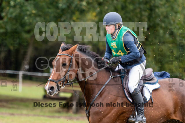 Vielseitigkeit RSV Wesel Obrighoven (26.+27.09.2020)