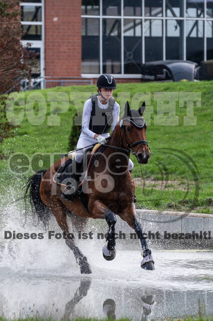 Goldene Schärpe 2020 - Pferde