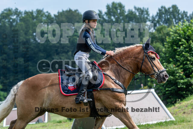 Goldene Schärpe 2021 - Ponys