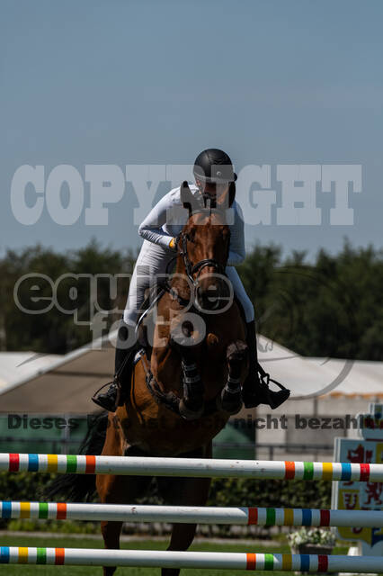 Kronenberg - De Peelbergen (August 2020)