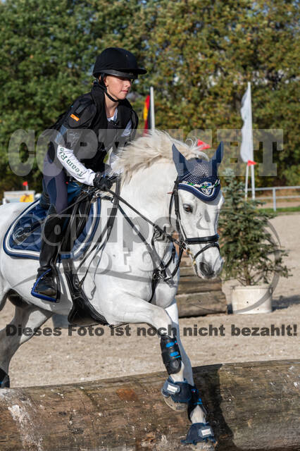 IGV Lehrgang der Sieger der Cups mit Frank Ostholt
