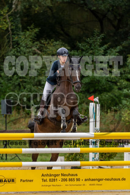 Vielseitigkeit RSV Wesel Obrighoven (26.+27.09.2020)