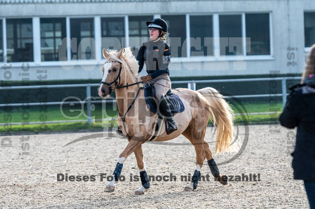 IGV Lehrgang der Sieger der Cups mit Frank Ostholt