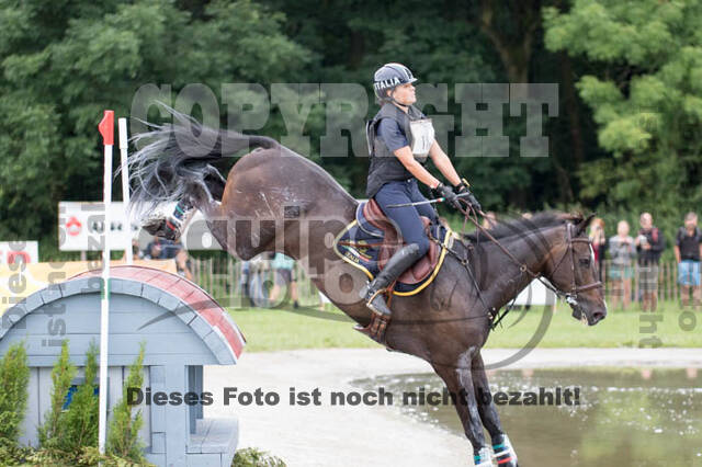 FEI European Championship