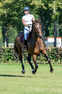 Kronenberg - De Peelbergen (August 2020)