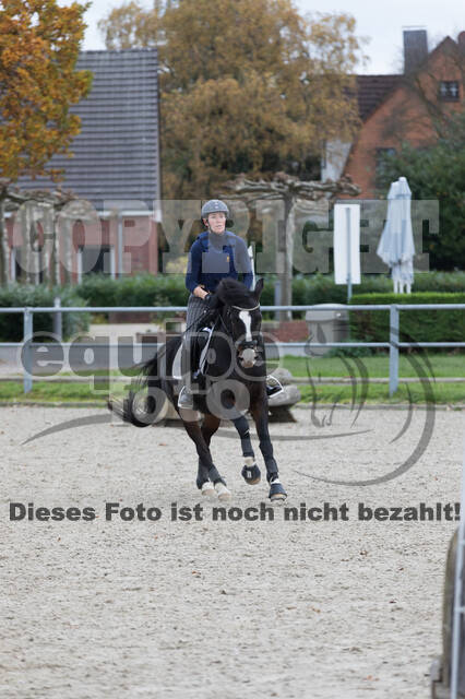 IGV Lehrgang der Sieger der Cups mit Frank Ostholt