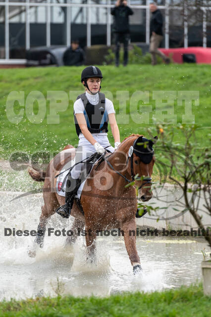 Goldene Schärpe 2020 - Pferde