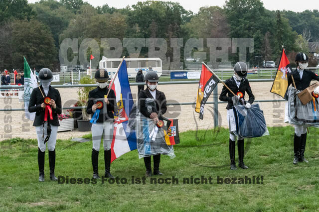 Goldene Schärpe 2020 - Pferde