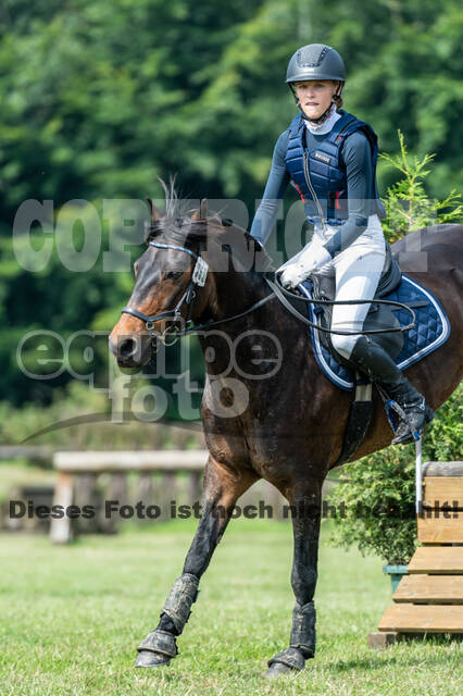 Goldene Schärpe 2021 - Ponys