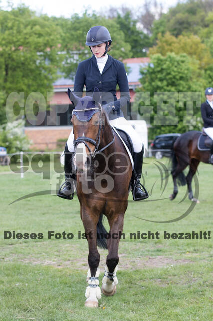 Sterne über Münster 2019 - CCI***S