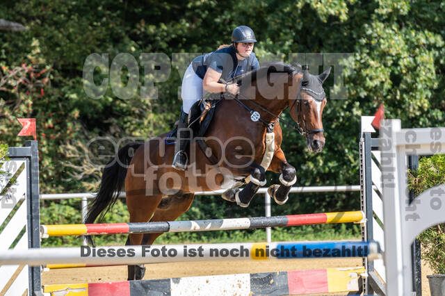 RFV Dinslaken-Hiesfeld (Herbstturnier)