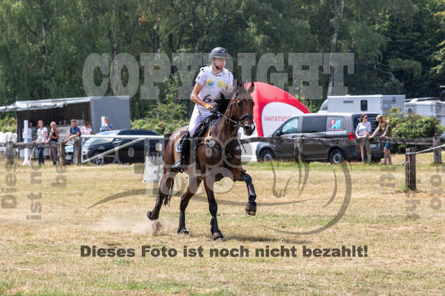 Late-Entry Vielseitigkeit Hamminkeln/Wesel (01.+02.08.2020)