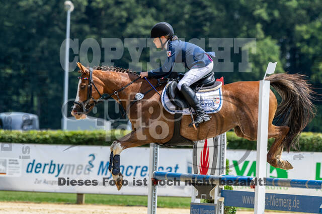 Goldene Schärpe 2021 - Ponys