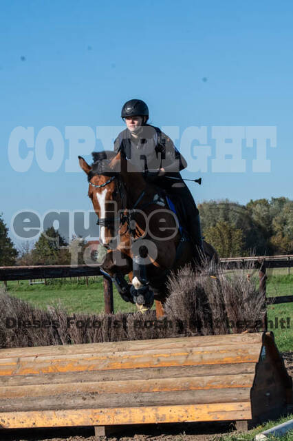 Vielseitigkeitslehrgang mit Jürg Kurbel (9.+10.11.2019)