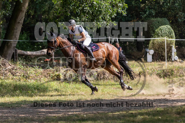 Late-Entry Vielseitigkeit Hamminkeln/Wesel (01.+02.08.2020)