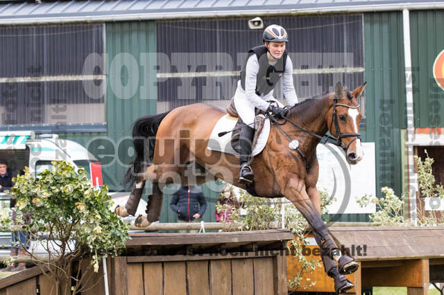 Jungpferdetag Hamminkeln