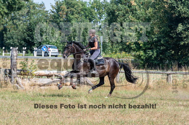Hunter Geländetraining (16.08.2020)