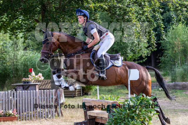 Late-Entry Vielseitigkeit Hamminkeln/Wesel (01.+02.08.2020)