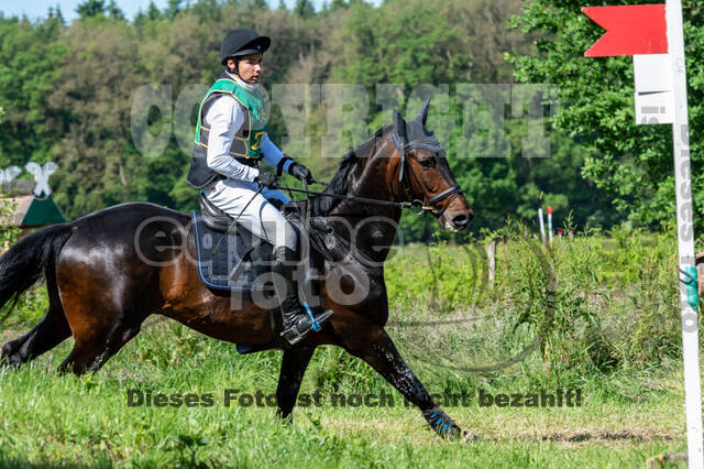 Westerstede Horse Trials (10.-13.06.2021)